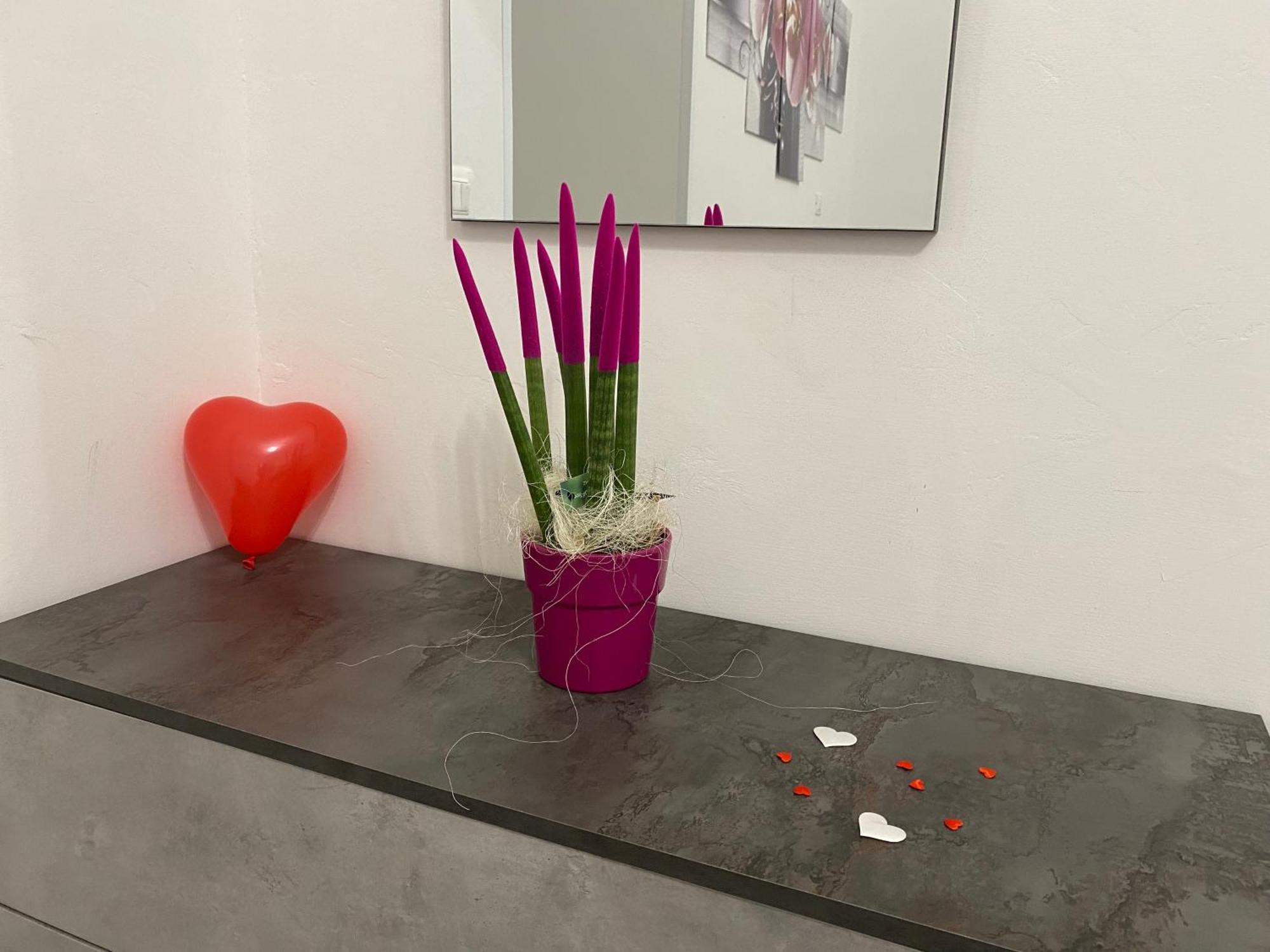 Le Regioni Del Cuore Vieste Dış mekan fotoğraf